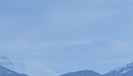 dv-banner