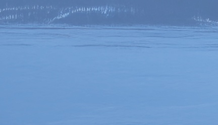 dv-banner