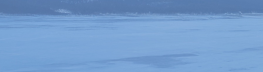 dv-banner
