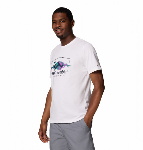 Футболка мужская Path Lake Graphic Tee II