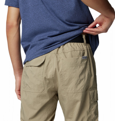 Брюки мужские Silver Ridge Utility Convertible Pant