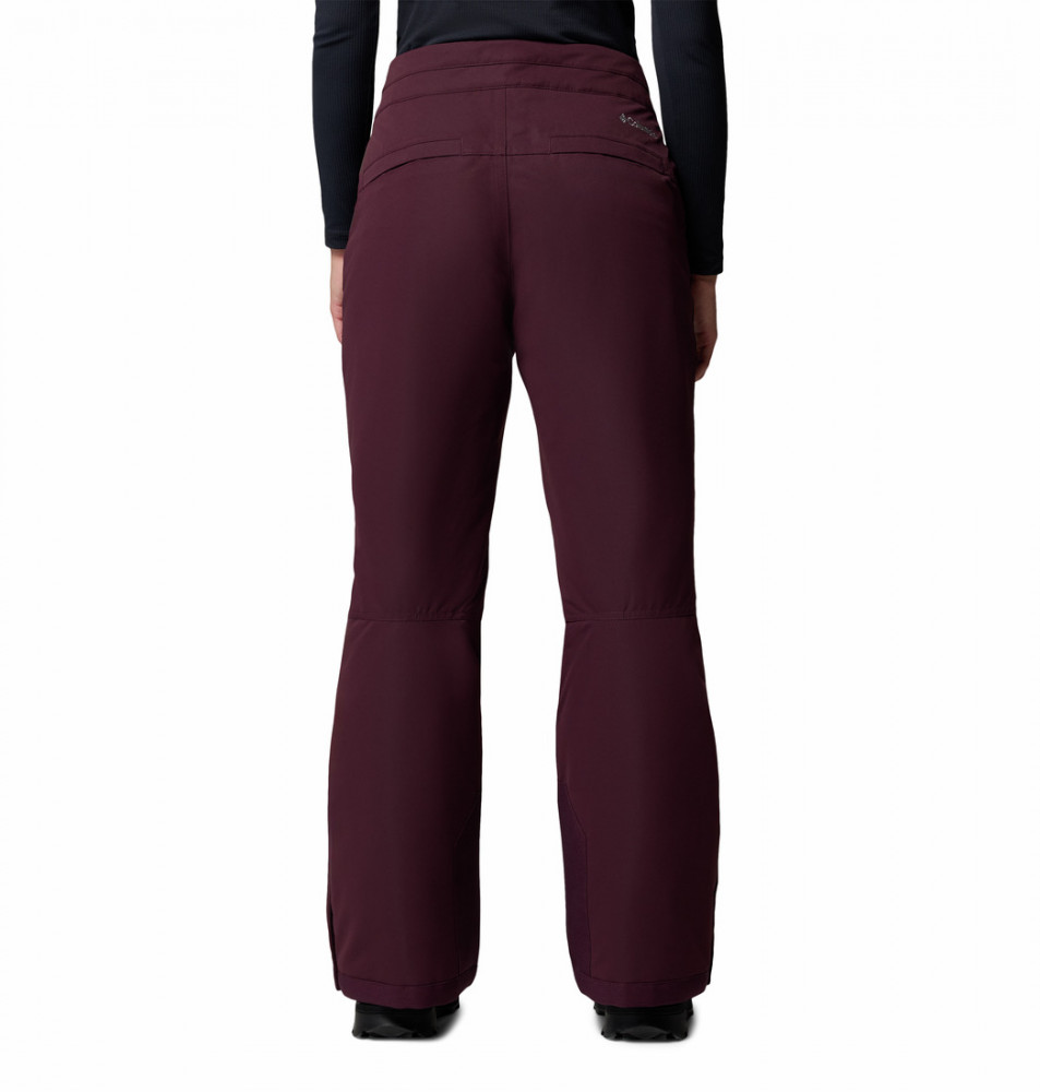 Брюки горнолыжные женские Bugaboo III Pant - фото 3
