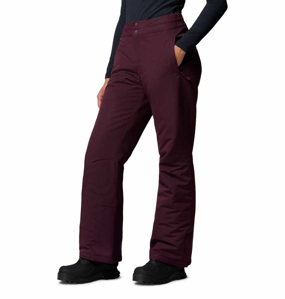 Брюки горнолыжные женские Bugaboo III Pant - фото 2