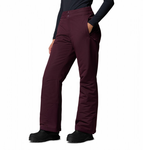 Брюки горнолыжные женские Bugaboo III Pant