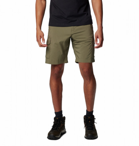 Шорты мужские Silver Ridge Utility Cargo Short