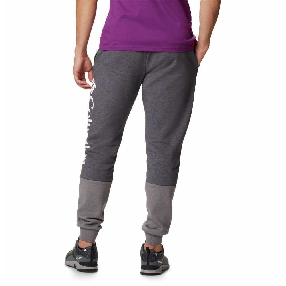 Брюки мужские Lodge Colorblock Jogger - фото 2