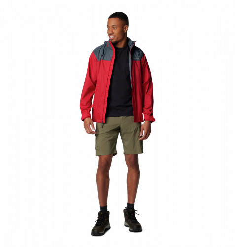 Шорты мужские Silver Ridge Utility Cargo Short