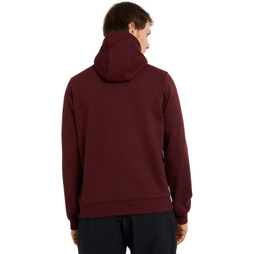 Худи мужской CSC Basic Logo II Hoodie