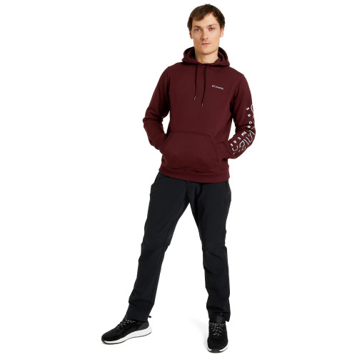 Худи мужской CSC Basic Logo II Hoodie