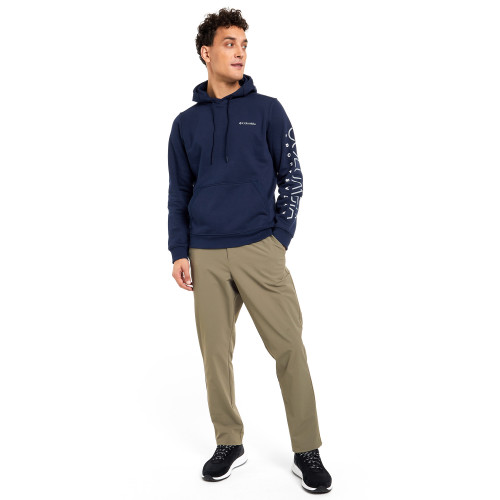 Худи мужская CSC Basic Logo II Hoodie