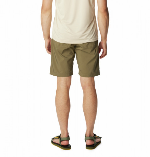 Шорты мужские Silver Ridge Utility Short