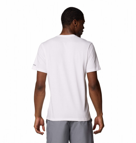Футболка мужская Path Lake Graphic Tee II