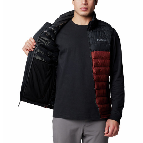 Жилет утепленный мужской Powder Lite Vest