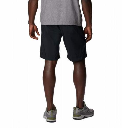 Шорты мужские Silver Ridge Utility Short