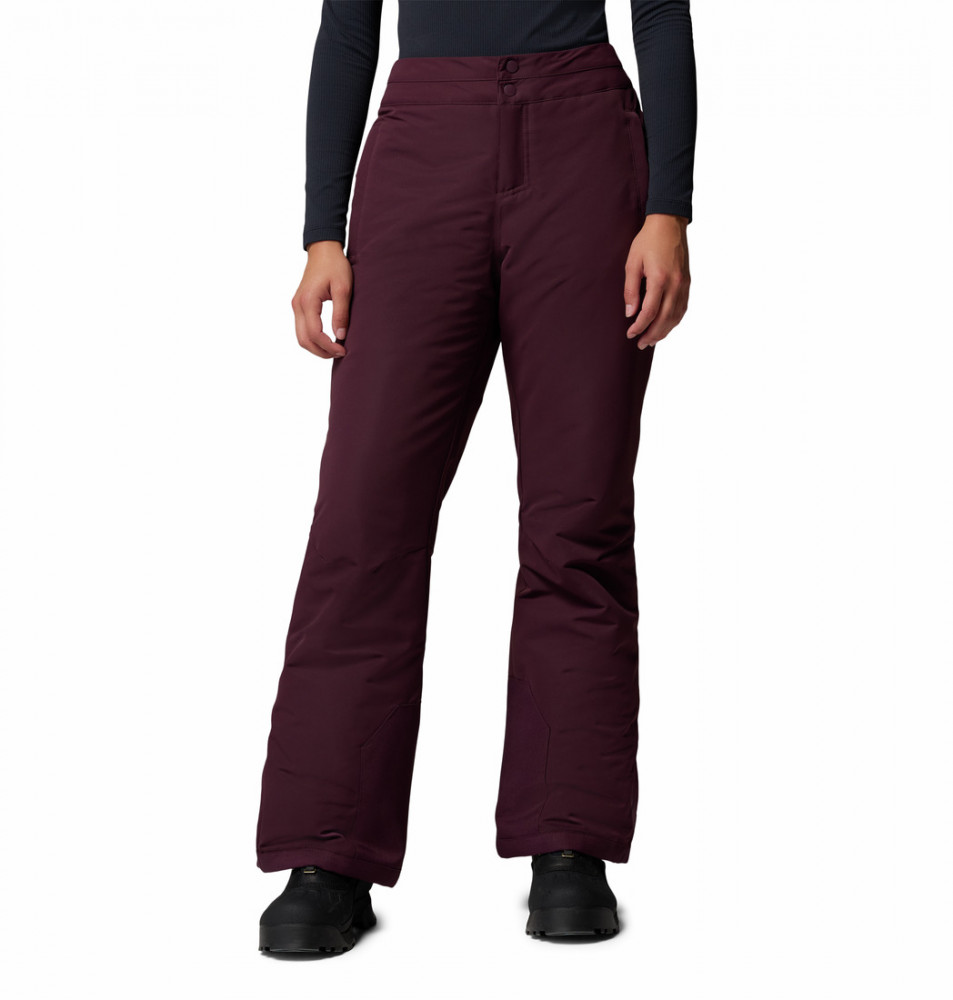Брюки горнолыжные женские Bugaboo III Pant - фото 1