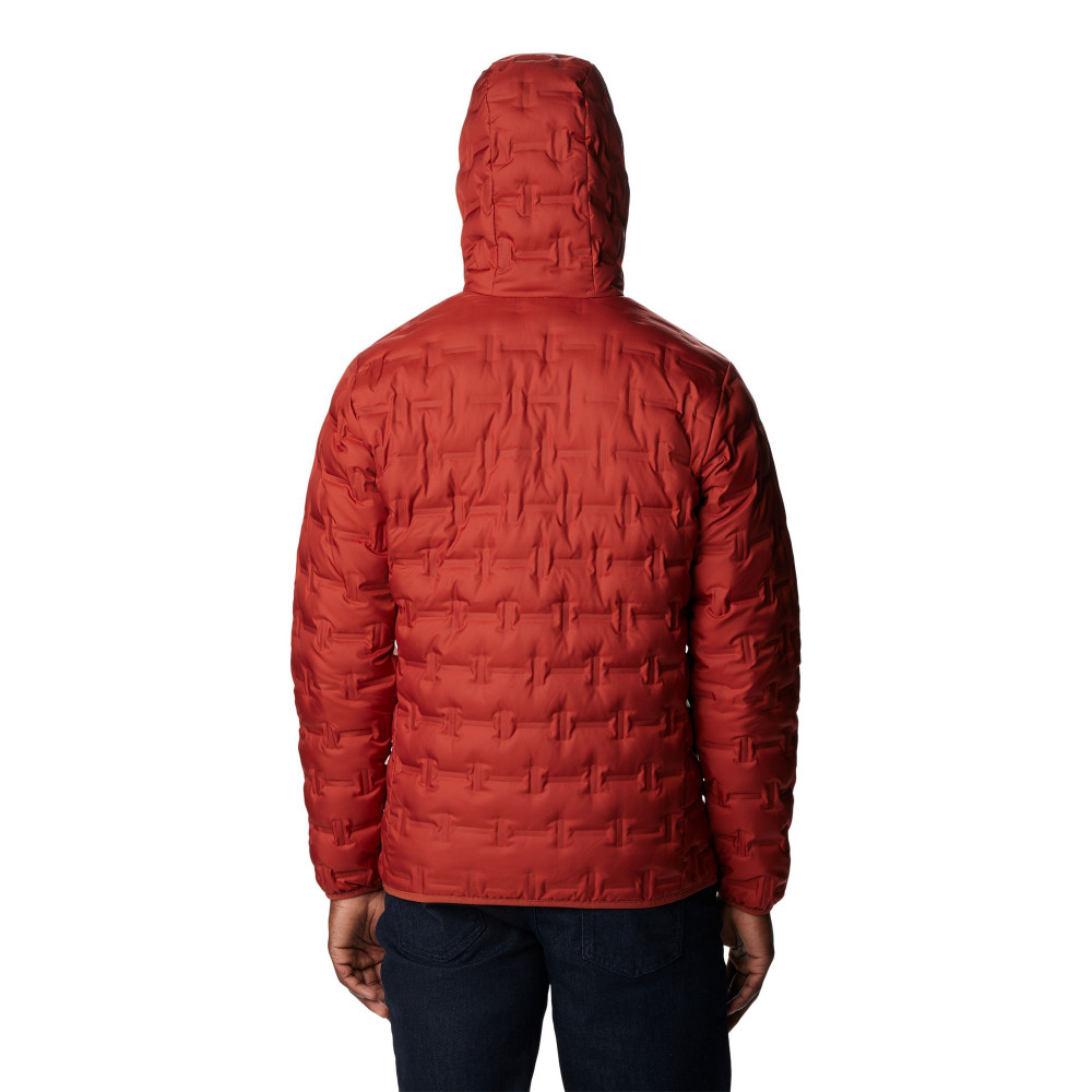 Пуховик мужской Delta Ridge Down Hooded Jacket - фото 2