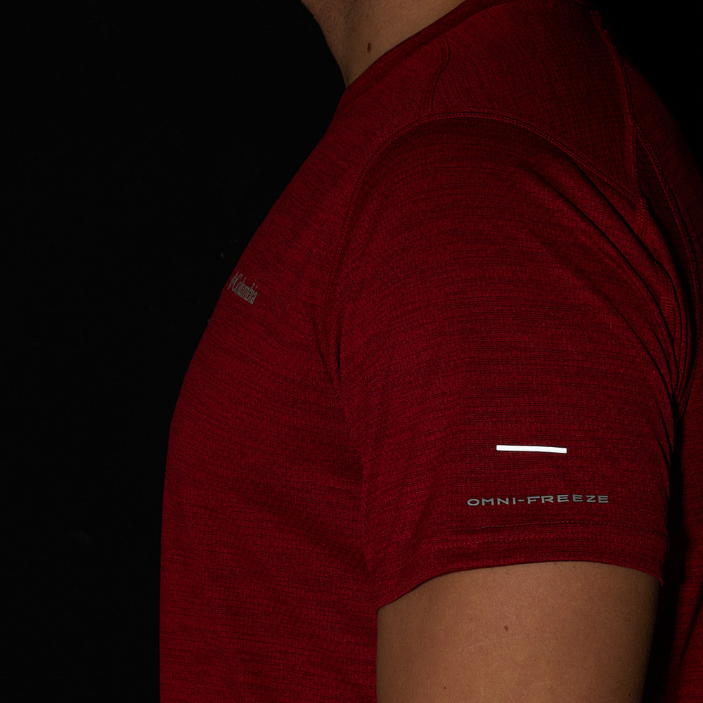 Футболка мужская Alpine Chill Zero Short Sleeve Crew - фото 5