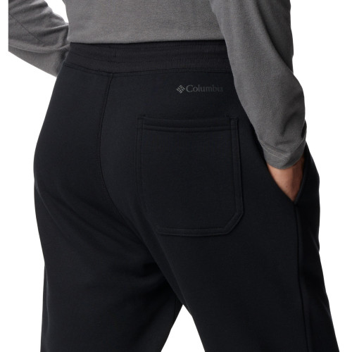 Брюки мужские CSC Logo Fleece Jogger II