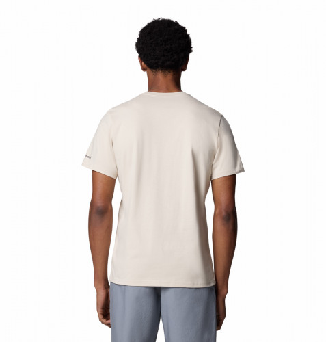 Футболка мужская Path Lake Graphic Tee II