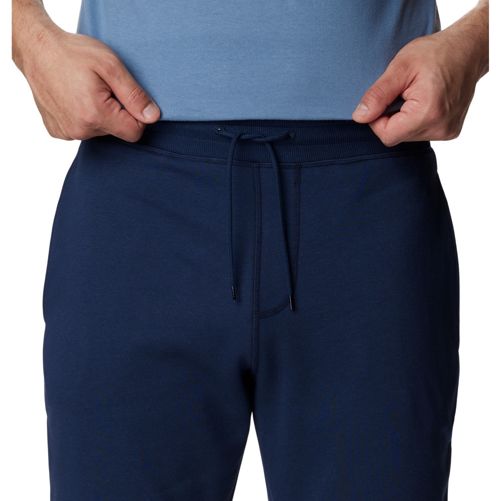 Брюки мужские CSC Logo Fleece Jogger II - фото 4