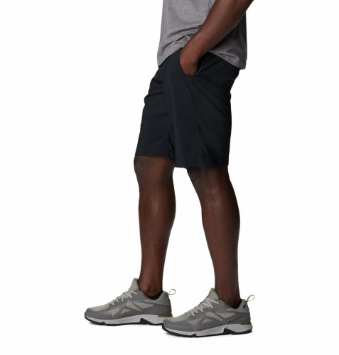 Шорты мужские Silver Ridge Utility Short