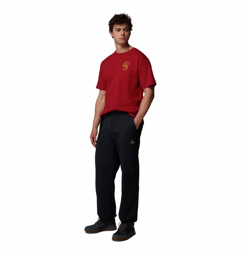 Брюки софтшелл мужские High Cascades Softshell Pant - фото 8