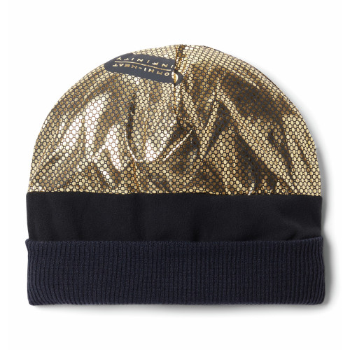 Шапка Polar Powder II Beanie синий 