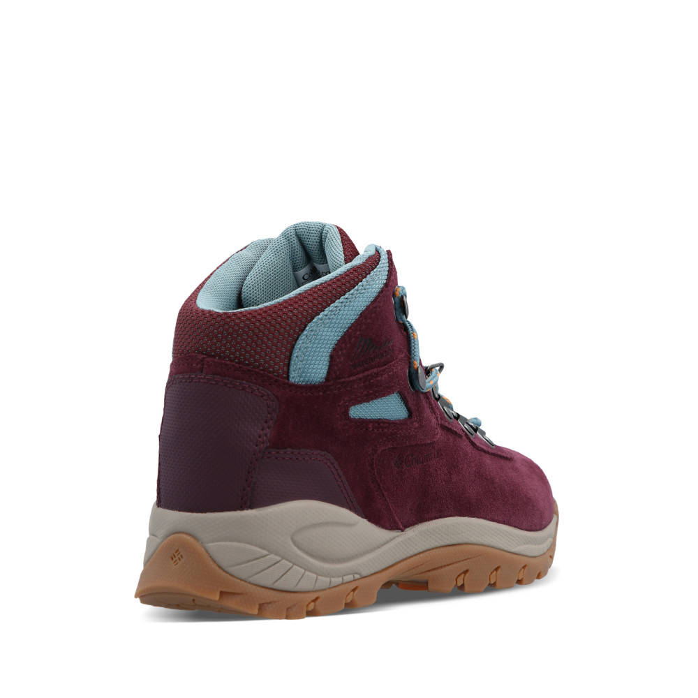 Ботинки женские Newton Ridge Plus Waterproof Amped - фото 4