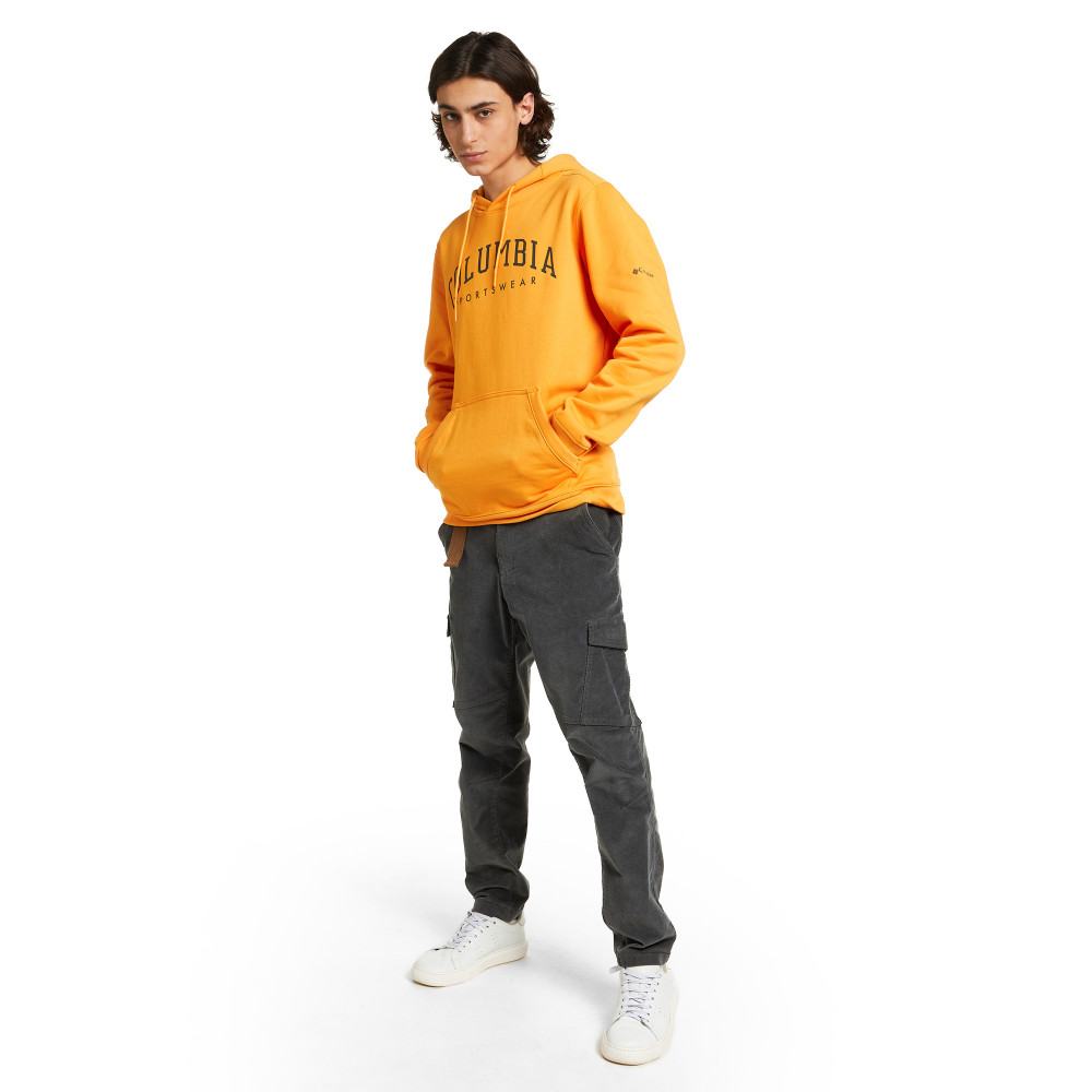 Худи мужская CSC Basic Logo II Hoodie - фото 3