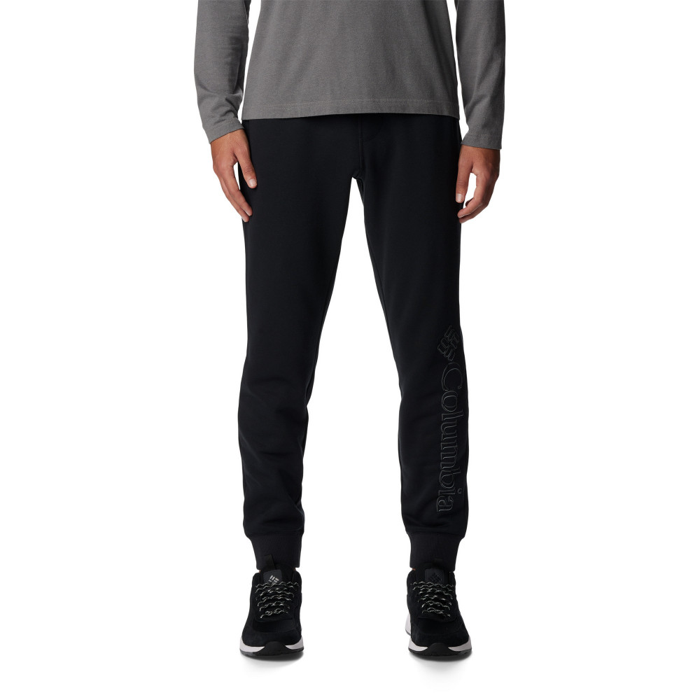 Брюки мужские CSC Logo Fleece Jogger II - фото 1