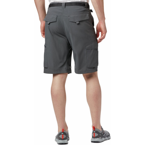 silver ridge ii cargo short