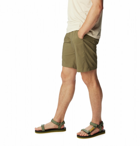 Шорты мужские Silver Ridge Utility Short